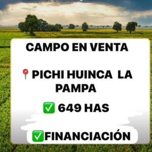 campo en la pampa 649 has.