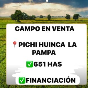 campo en la pampa 651 has.