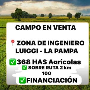 Campo en la pampa 368 has.