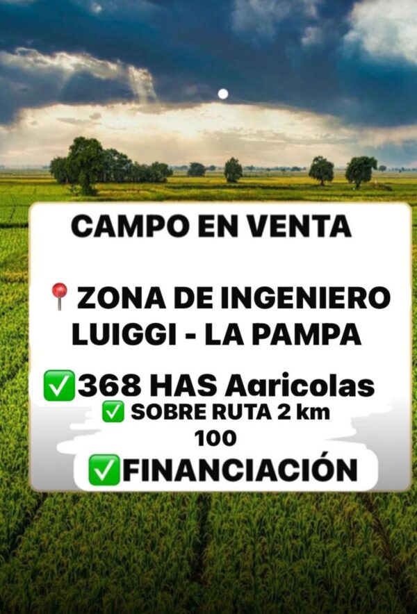 Campo en la pampa 368 has.