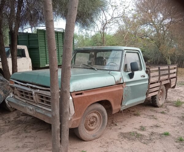 FORD F100 1978 - Image 4