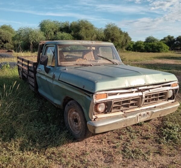 FORD F100 1978 - Image 2