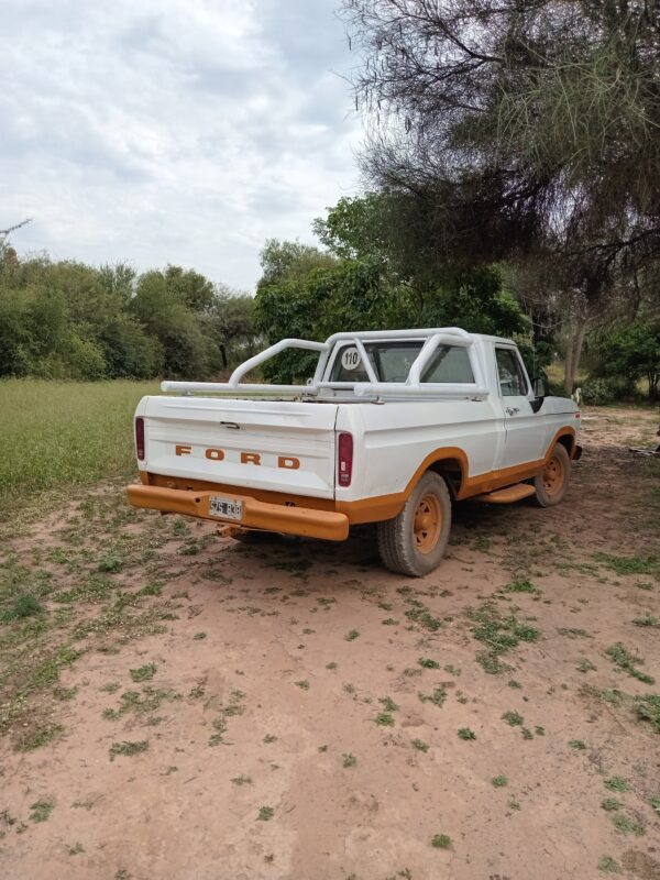 Ford F100 - Image 3