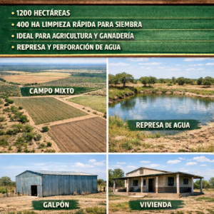Campo en Pampa de los Guanacos (1200 has)